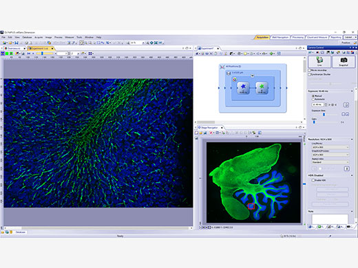 GWB product cellsens overview 02 202003