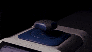 GWB Smallerfile losingCup v3