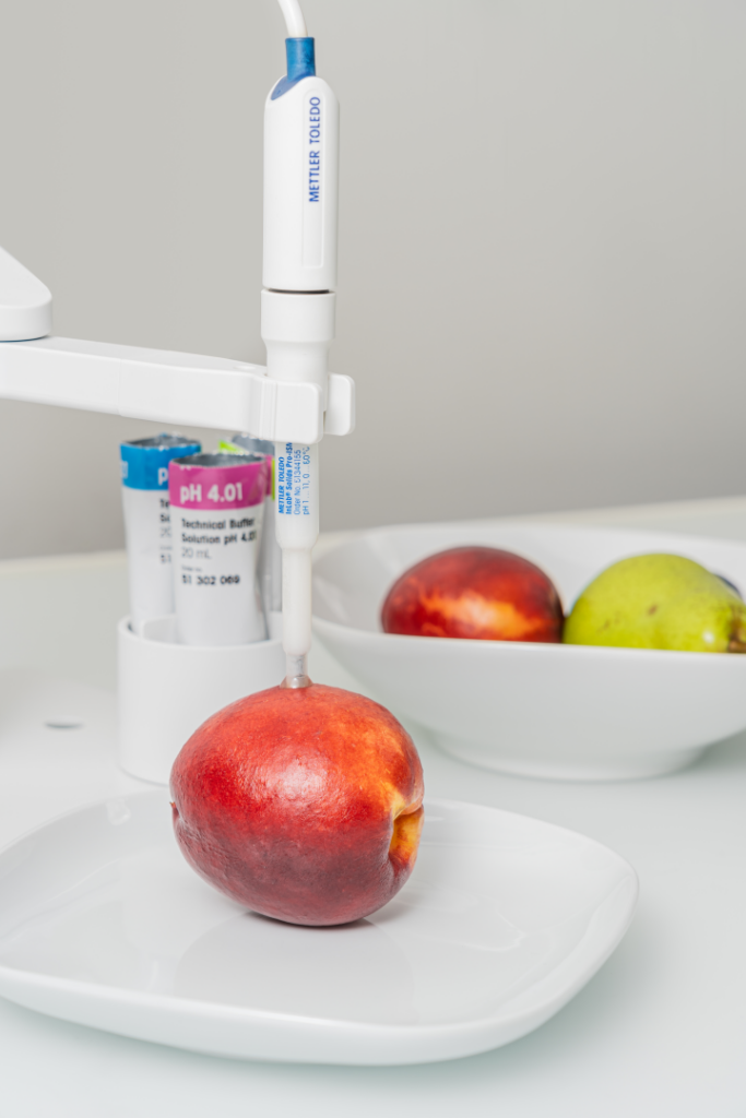 elintarvike teollisuus ph mittaus